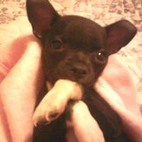 Profile Picture of Kevin Thompson (@austin21627) on Pinterest