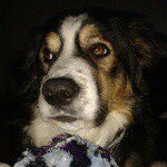 Profile Picture of Ann Hejn Glitsos (@ann.h.glitsos) on Instagram