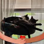 Profile Picture of Amy Elias (@Amy-Elias) on Facebook