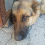 Profile Picture of Michael Pekar (@michael_p.__) on Instagram