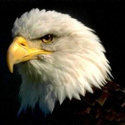 Profile Picture of Noel Velez (@NoelVelez3) on Twitter