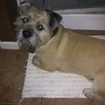 Profile Picture of jaime gerardo (@gerardo6447) on Instagram