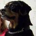 Profile Picture of Jody Ramaker (@yappy2u) on Pinterest