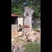 Profile Picture of Terry Rector (@terry.rector.71) on Facebook