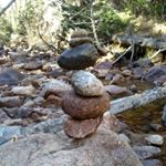 Profile Picture of Ian Greenwald (@greenwaldian_999) on Instagram