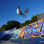 Profile Picture of Rosa Guardiola Martínez (@rosaguardiolamartinez) on Instagram