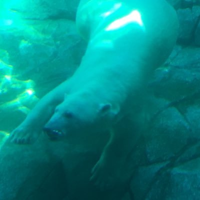Profile Picture of Joel McKenzie (@joelly87) on Twitter
