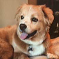 Profile Picture of Alexa Neff (@alexa-neff-3) on Quora