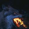 Profile Picture of Brian walsh (@@narutofan1345) on Tiktok