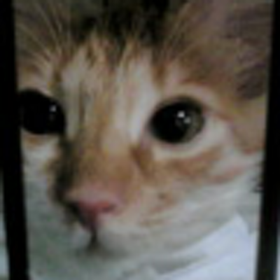 Joe Mizuno - Twitter Profile Picture of Joe Mizuno (@joe90mizuno) on Twitter