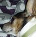 Profile Picture of Paula Pinkston (@paula.pinkston.73) on Facebook
