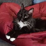 Profile Picture of Brenda Pendleton (@brendajpendleton) on Instagram