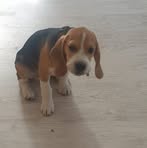 Profile Picture of Silvia Hartmann (@Silvia-Hartmann) on Facebook