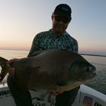 Profile Picture of Danny Silveira Fiure (@danny.silveirafiure) on Instagram