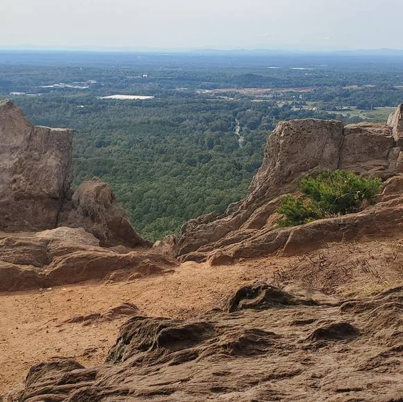 Profile Picture of Jose Ponciano (@j_ponciano) on Poshmark