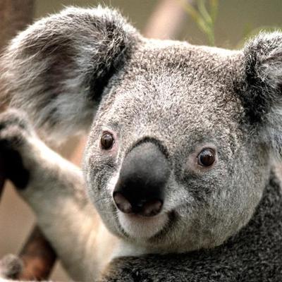 Profile Picture of Ryan Kernaghan (@ryankernaghan01) on Twitter