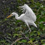 Profile Picture of George Cheng (@georgecheng1970) on Instagram