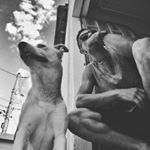 Profile Picture of Daniel Garibaldi (@danielgarib) on Instagram