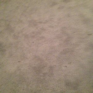 Profile Picture of Cassandra Grichen-forsythe (@well.liveour.love) on Myspace