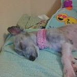 Profile Picture of Lola Madsen (@doda_the_great) on Instagram