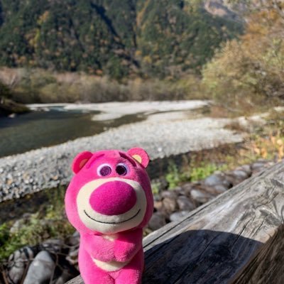 Profile Picture of Man Cheng (@1mancheng) on Twitter