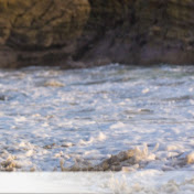 Profile Picture of Cassandra Alcala (@cassandraalcala841) on Youtube