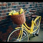 Profile Picture of Astrid Ayala (@astrid.ayala.925) on Instagram