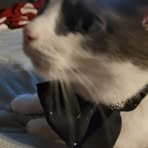 Profile Picture of Frances Vincent (@frances.vincent.186) on Facebook