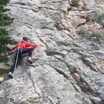 Profile Picture of Phyllis Cook (@PHYLLISCOOK) on Twitter