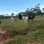 Profile Picture of Kennedy Quispe Calvo (@kennedy.quispecalvo.7) on Facebook