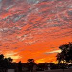 Profile Picture of devon (@devone.s05) on Instagram