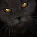 Profile Picture of Chris Travis (@chris.travis.733076) on Facebook