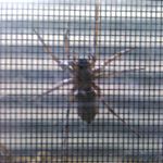 Profile Picture of chris symes (@chris_symes5000) on Instagram