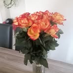 Profile Picture of Louise Simon (@Louise-Simon) on Facebook