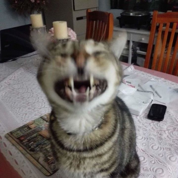 ✨🎀•Nadia•🎀✨ - Tiktok Profile Picture of ✨🎀•Nadia•🎀✨ (@www.me.gorg) on Tiktok