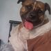 Profile Picture of Annabelle Harper (@annabelle.harper.395) on Facebook