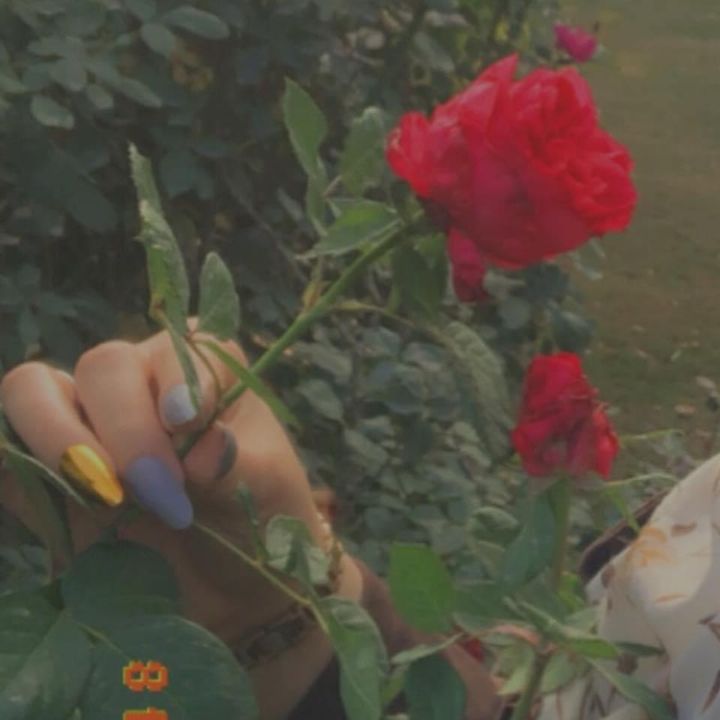 Profile Picture of Rana_Mohammed (@rana__mohammed) on Tiktok