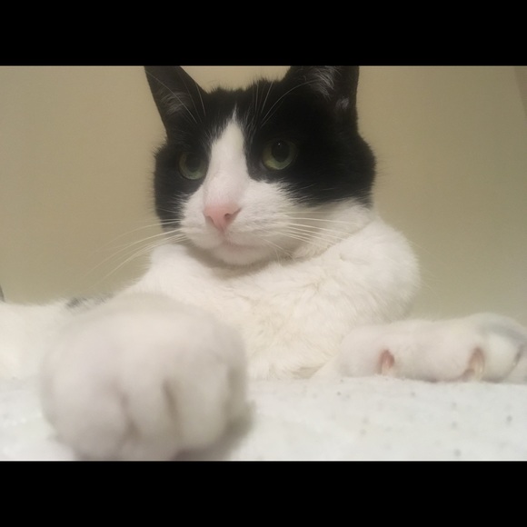 Profile Picture of Joseph Adams (@jadams277) on Poshmark