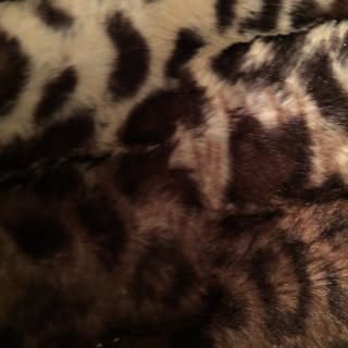 Profile Picture of Saima Bajwa (@bajwa_saima) on Instagram