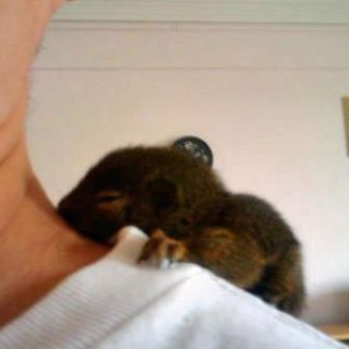 Profile Picture of Malcolm Lim (@malcolm.lim.102) on Facebook