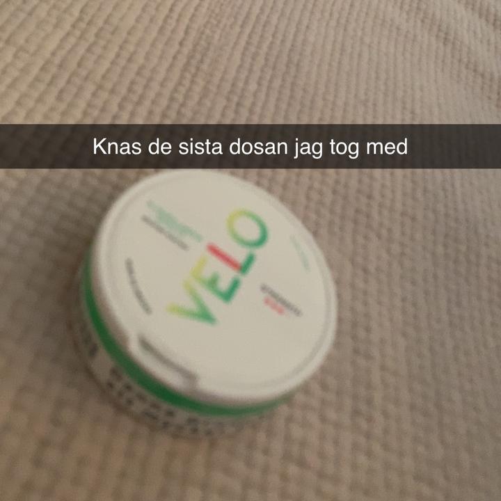 Profile Picture of Joseph Picone (@j0sephpicone) on Tiktok