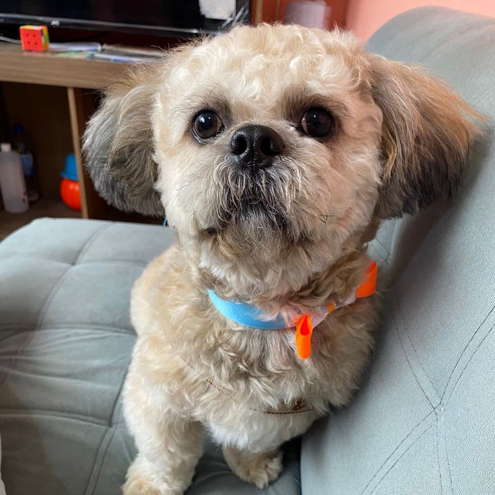 Profile Picture of Janet Corro (@janetcorro0) on Tiktok