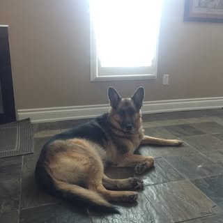 Profile Picture of David Cioch (@david_cioch) on Instagram