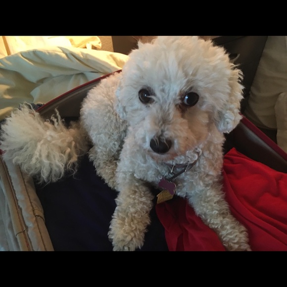 Profile Picture of Lisa Bilotti (@lisabilotti) on Poshmark