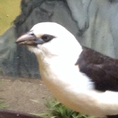 Profile Picture of David Killian (@BabyDave8123) on Twitter