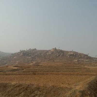 Profile Picture of Victor CC (@Victor_CuiChen) on Twitter