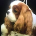 Profile Picture of John Mcgillivray (@john.mcgillivray.1460) on Instagram
