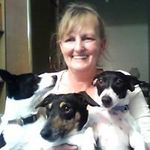 Profile Picture of Tracey Jeffrey (@gertiej55) on Instagram