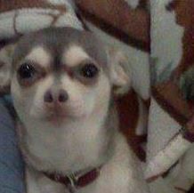 Profile Picture of Macy McFarland (@macy.mcfarland.3) on Facebook