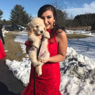 Profile Picture of Michaela Allen (@allen4276) on Twitter